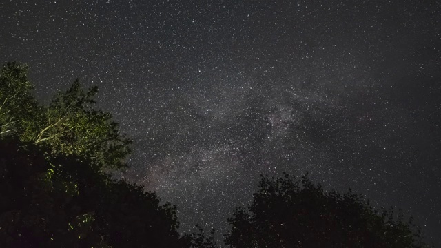 银河在树木上方夜空中的时间流逝视频素材