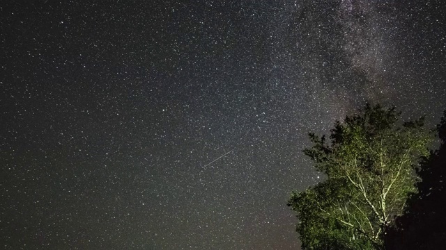 银河在树木上方夜空中的时间流逝视频素材