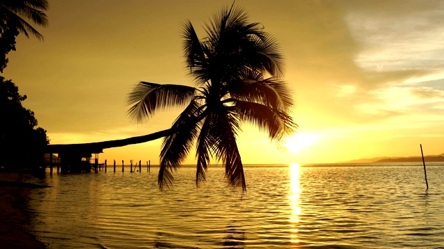 椰子树映衬着缤纷的夕阳，一级防范禁闭。视频下载