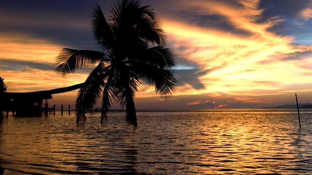 椰子树映衬着缤纷的夕阳，LD。视频下载