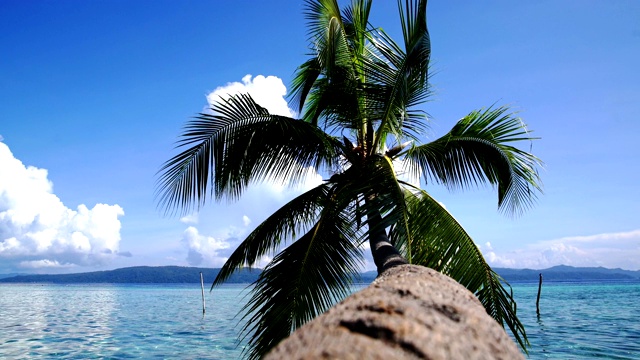海景椰子树阳光在蓝色的海洋，夏天的背景。,封锁。视频下载