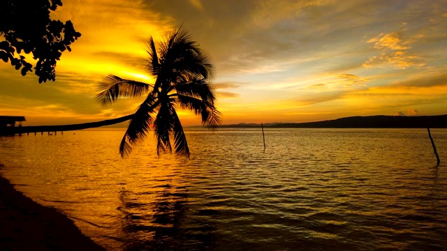 TL，椰子树在缤纷的夕阳下，向左平移，平移。视频素材
