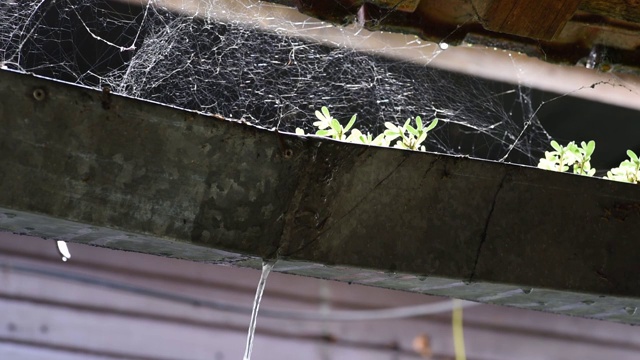 暴风雨过后，水流穿过屋顶上生锈的旧排水沟视频素材