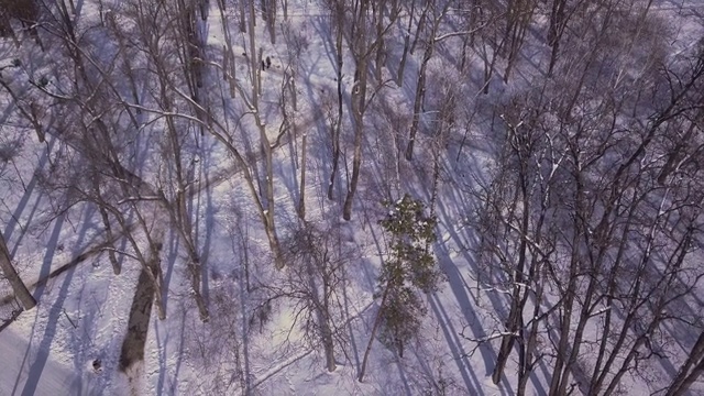 无人机飞过白雪覆盖的城市公园。雪城，自然抽象视频素材