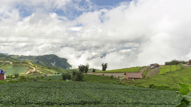 时间推移雾在时间推移的薄雾和高层云在泰国Phutubberk的顶峰，雾在山峰和森林。雨后自然视频素材