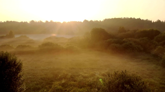 风景日出明亮的太阳在一个晴朗的早晨在一个有树的薄雾草地上。自然的田园风光，洋溢着温暖的阳光视频素材