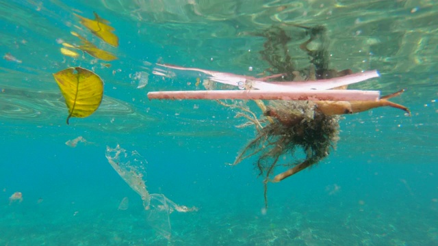 漂浮在海水中的塑料垃圾视频素材