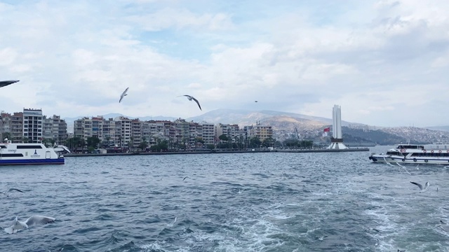 伊兹密尔市观景渡轮与海鸥视频素材