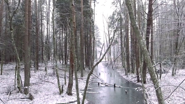 森林湖4 k视频下载