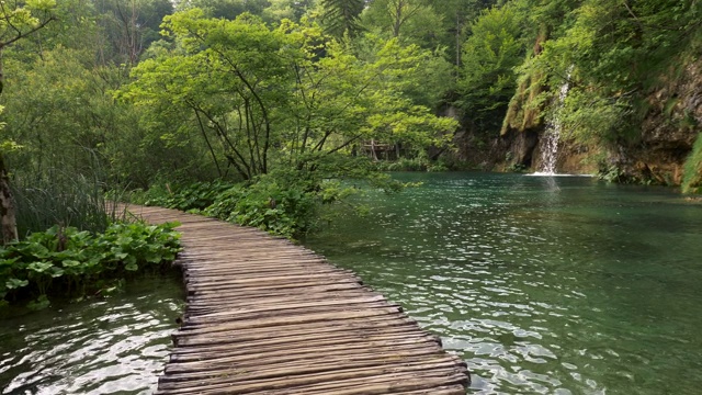 镜头在一个美丽的湖泊公园的木板路上移动。瀑布流入湖泊中丰富的绿色植物。4 k视频素材