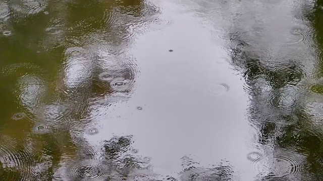 慢动作拍摄雨水，雨水落在池塘的水面上，用高速摄像，自然环境背景概念。视频素材