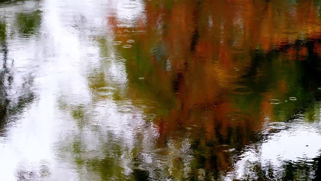 雨的慢动作拍摄，雨落在池塘的水面上，枫叶树的彩色倒影，4k镜头，自然和环境背景概念。视频素材