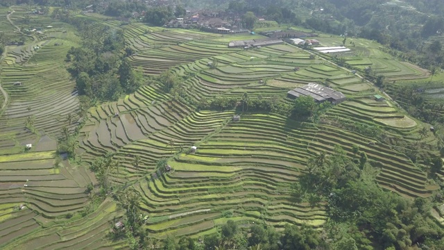 旅行目的地:巴厘岛视频下载