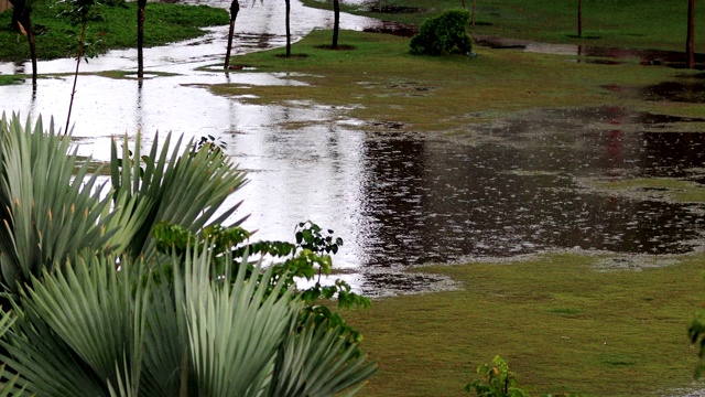 雨滴落在水里!视频素材