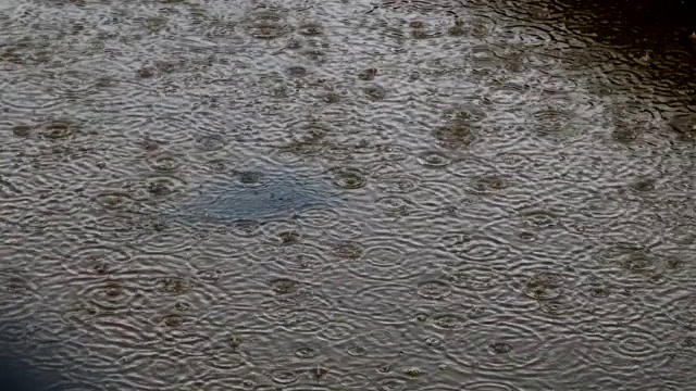 雨滴落在水里!视频素材