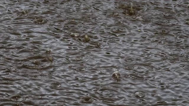 雨滴落在水里!视频素材