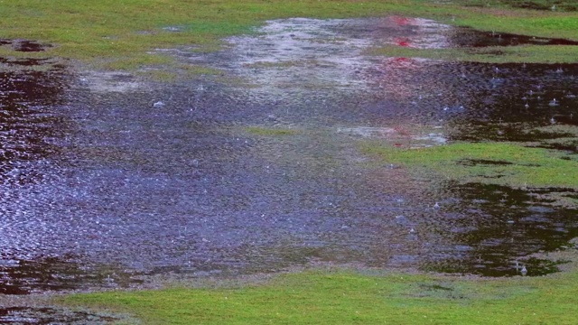 雨滴落在水里!视频素材