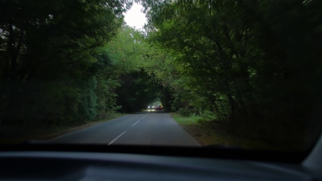 道路天然树木隧道视频素材