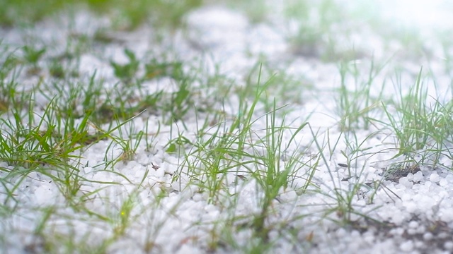 春天的冰冰雹在绿草地上。坏天气特写视频素材