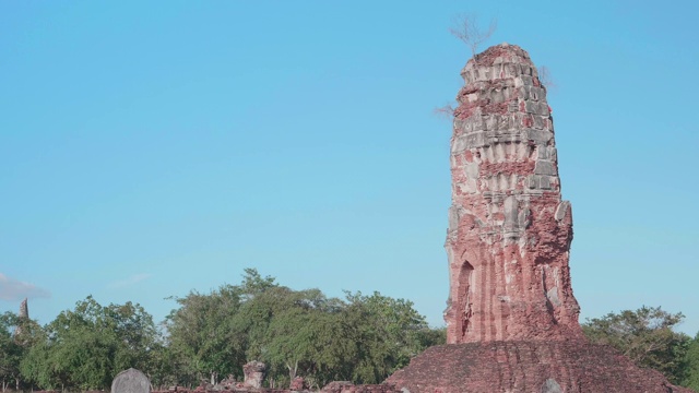 泰国大城府Lokayasutharam寺宝塔;放大运动视频素材