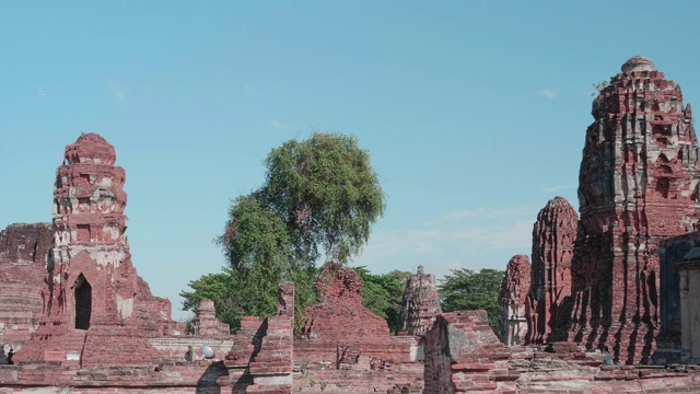 泰国大城府玛哈塔寺遗址;平移运动视频素材