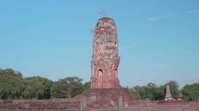 泰国大城府Lokayasutharam寺宝塔;放大运动视频素材