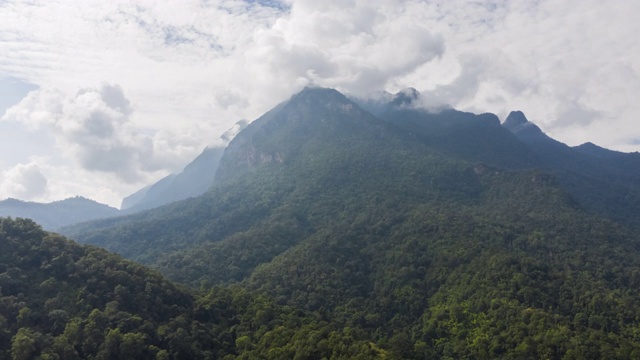 超断层鸟瞰图山和森林视频素材