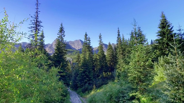 夏天通往山顶的山路，塔特拉斯视频素材