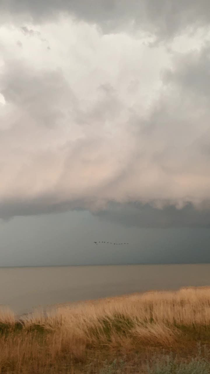 垂直视频取向。黑色的鸟儿飞离了即将来临的暴风雨视频素材