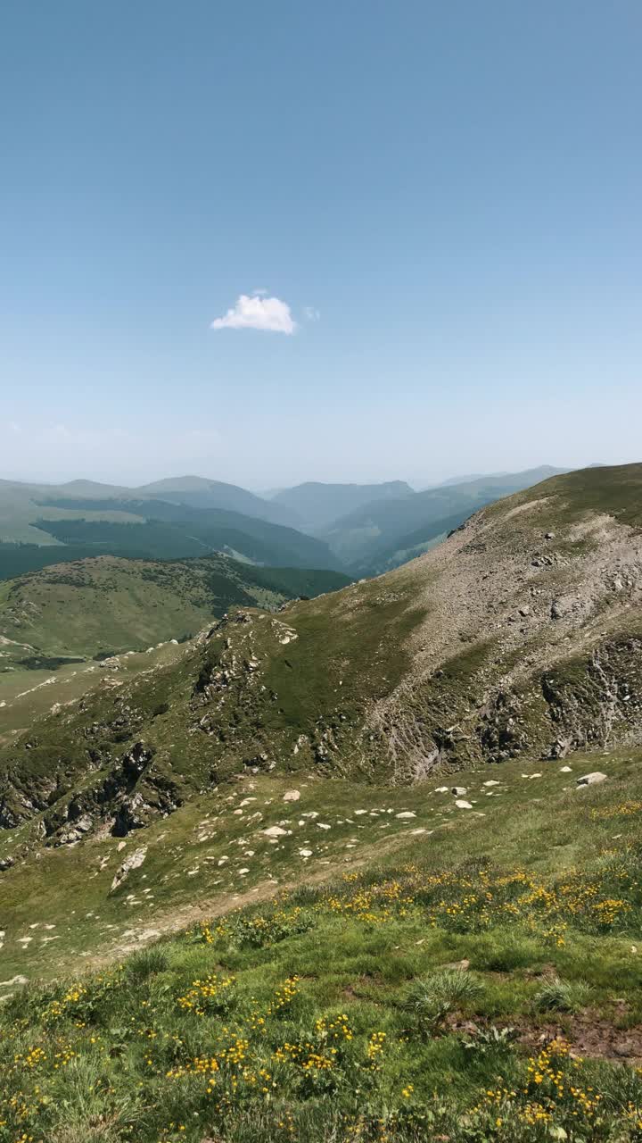 夏天山全景。垂直视频方向视频素材