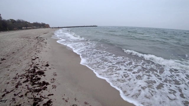 海滩上秋海上的风暴视频素材