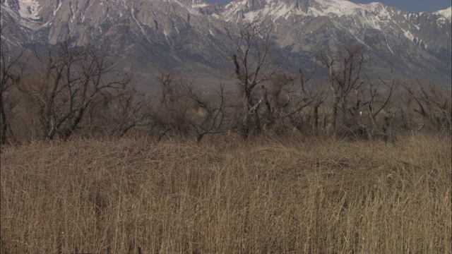 雪覆盖了内华达山脉的山峰。视频素材