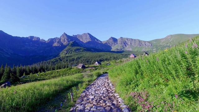 波兰塔特拉山上的小木屋视频素材