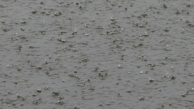 水面下大雨视频素材