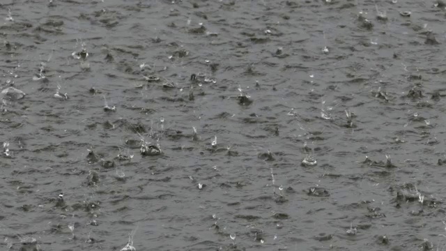 水面下大雨视频素材