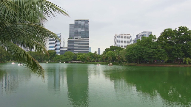 泰国曼谷隆皮尼中央公园。摩天大楼和现代未来建筑的城市全景。公园里的湖和天鹅游艇。倒影在水中。视频素材