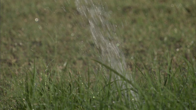 洒水器给草坪浇水。视频素材