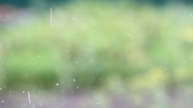 自然背景下的暴雨。雨滴落下视频素材