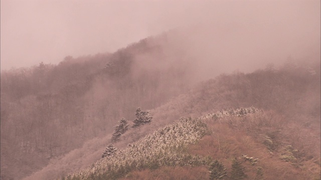 浓雾笼罩着富士山下的山谷。视频素材