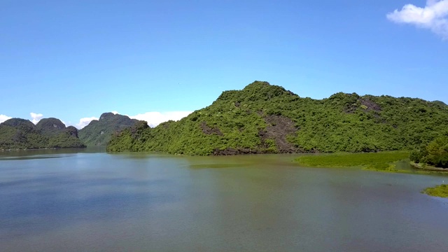 无人机显示白色海鸥在海面上飞行视频素材