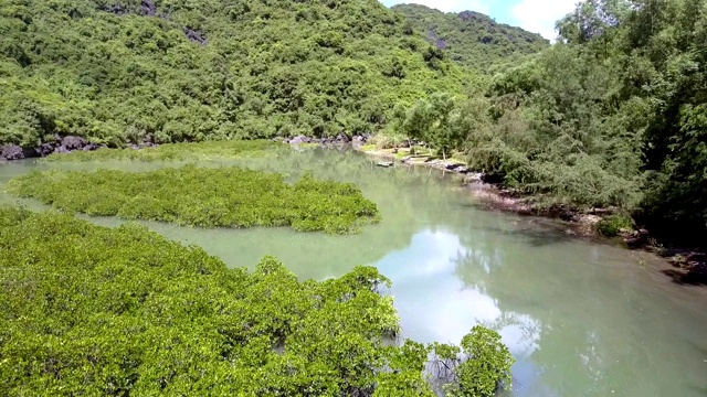 无人机在下龙湾图案Uncial自然区上空移动视频素材