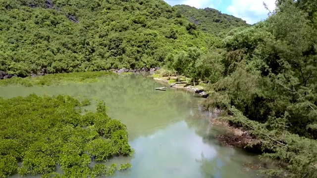 无人机清除上方绿色海湾与树木在水中视频素材