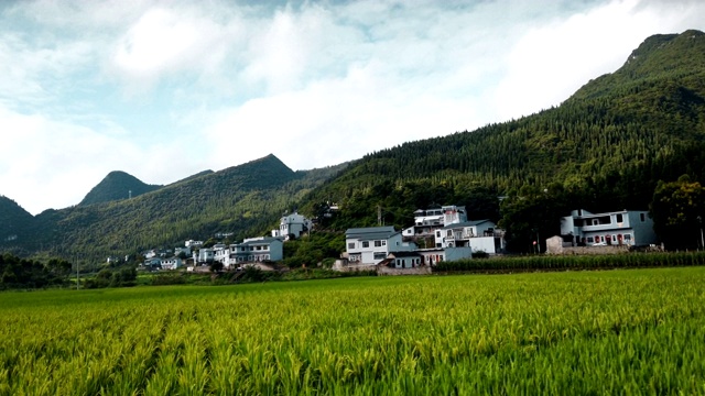 汽车行驶在稻田和村庄的路上，贵州，中国。视频素材