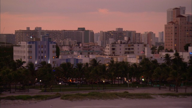 在迈阿密的南海滩，一排棕榈树将海滩和城市街道隔开。视频素材