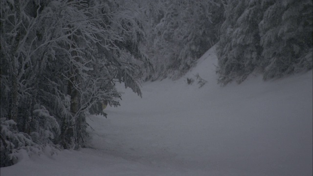 滑雪者在雪坡上弯弯曲曲地滑下。视频素材