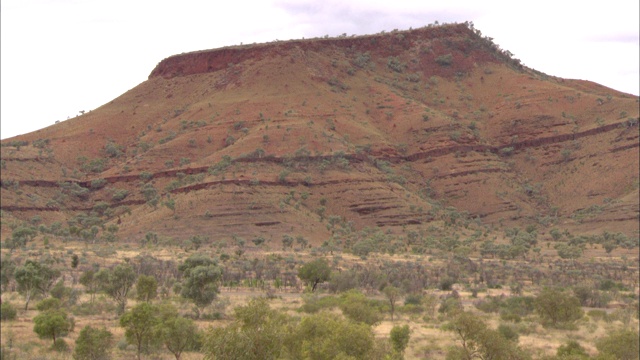 在Karijini国家公园，杂草和灌木覆盖着平顶山的地面。视频素材