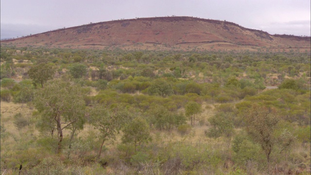 在Karijini国家公园，一辆经过台面的SUV被浓密的树叶包围着。视频素材