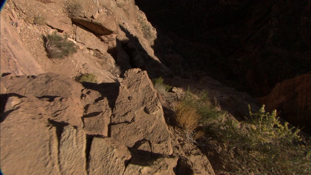 沙漠灌木生长在小科罗拉多河峡谷陡峭的山坡上。视频素材