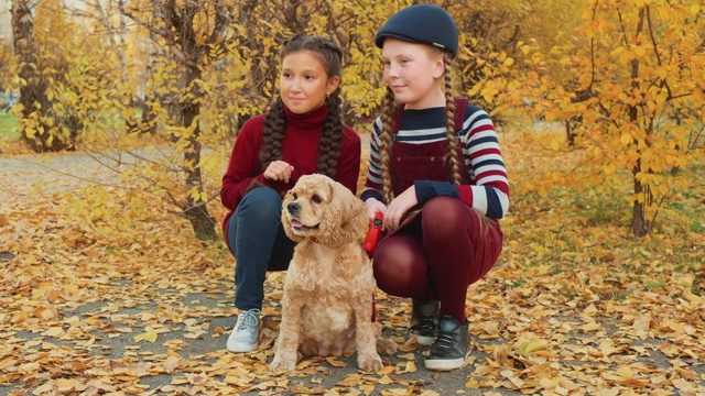 两个少女坐在可卡犬在秋季公园。微笑的女孩抚摸狗和摆姿势拍照在黄秋公园。视频素材