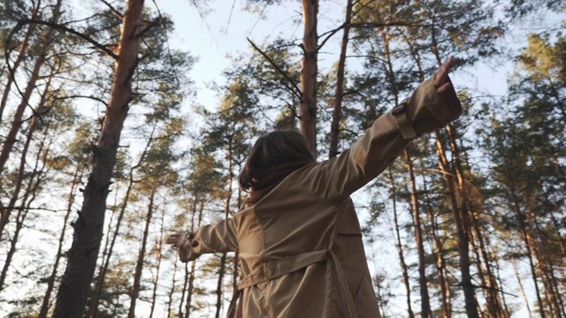 幸福微笑的黑发女子展开双臂，以侧旋转在秋天的森林中绿色的松树。年轻的模特女性旋转在秋天森林周围的树木视频素材